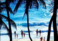 beach.jpg