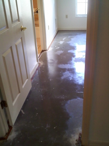 wetcement.jpg